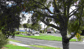 Wellsford Tree and Intersection