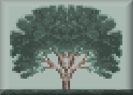 BOUWMAN TREE