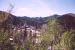 DEADWOOD FROM CEMETERY