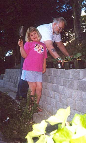 PLANTING STRAWBERRIES